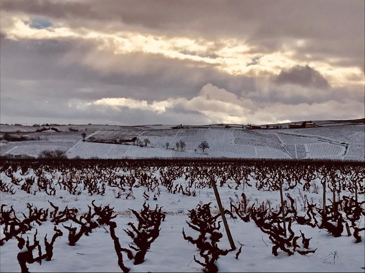 La Boheme, Gite De Charme Quincié-en-Beaujolais Exterior photo